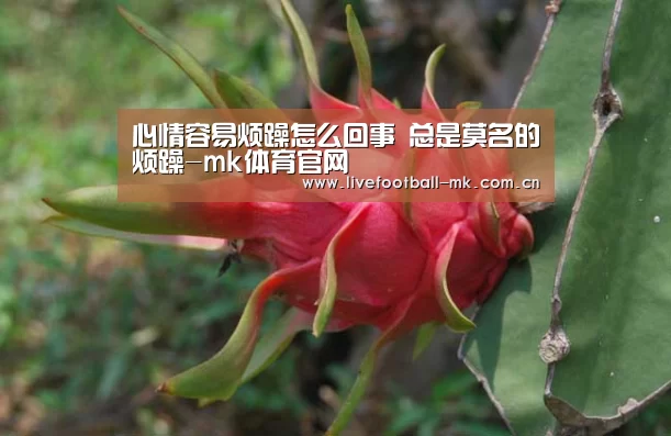 心情容易烦躁怎么回事 总是莫名的烦躁-mk体育官网(图3) mk体育app